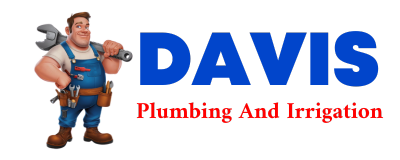 Trusted plumber in DAVID